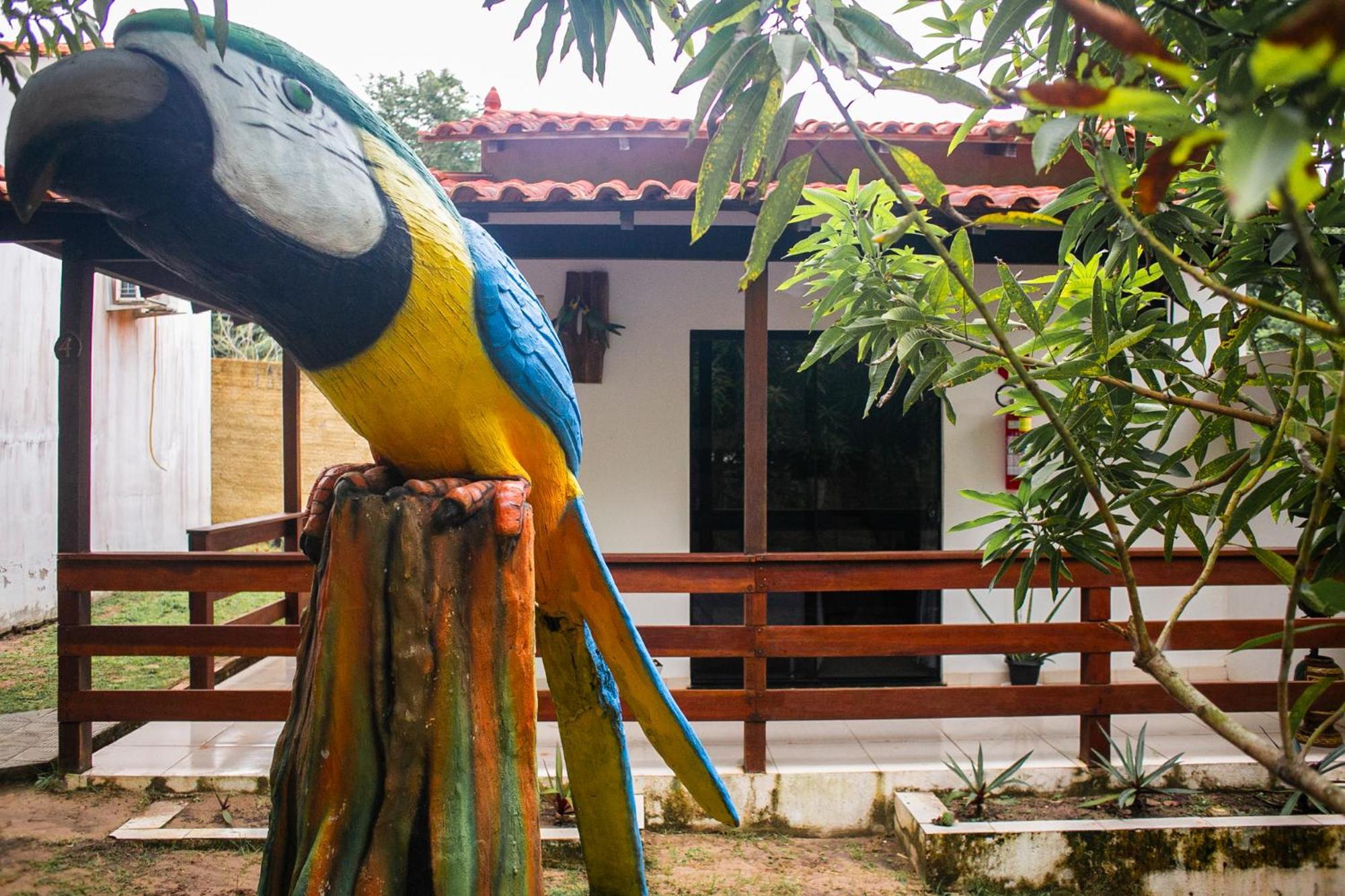 Pousada E Restaurante Amazonia 알테르 두 차오 외부 사진